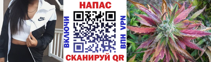 Марихуана ГИДРОПОН купить закладку Пионерский